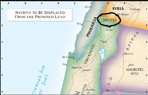 Hivites